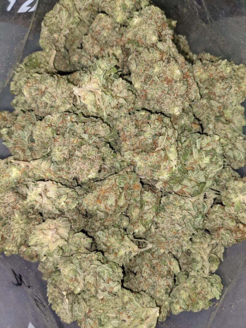 Blue Dream Exotic Weed | Blue Dream Strain for Sale