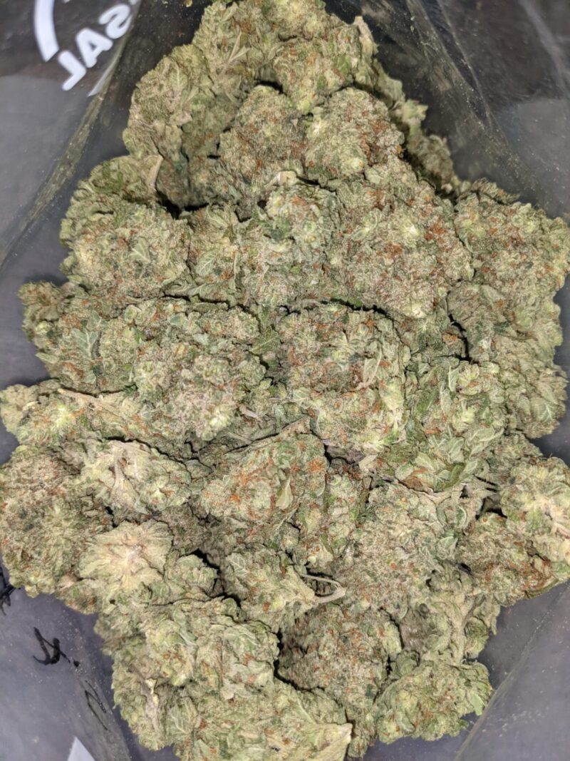 Blue Dream Exotic Weed | Blue Dream Strain for Sale