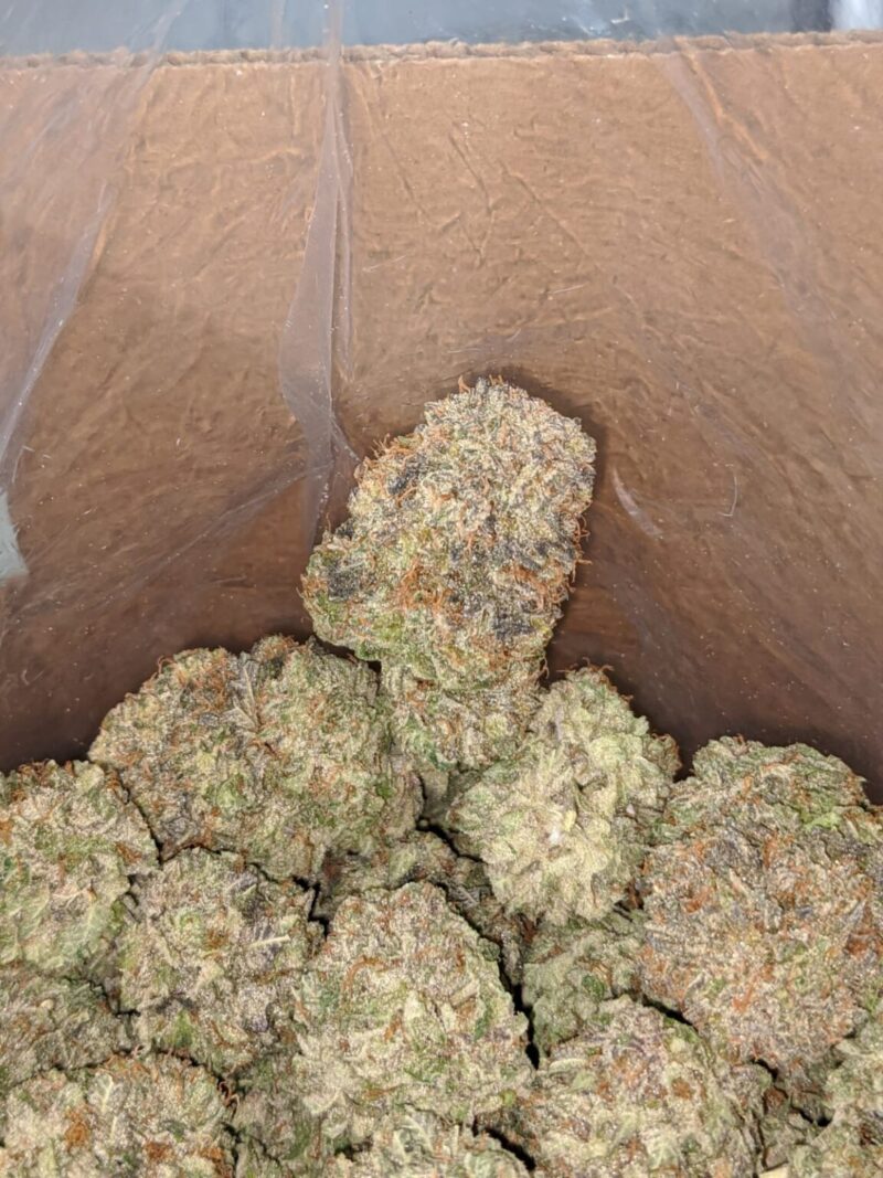 Purple Kush Cannabis- Purple kush weed- Buy Purple Kush online