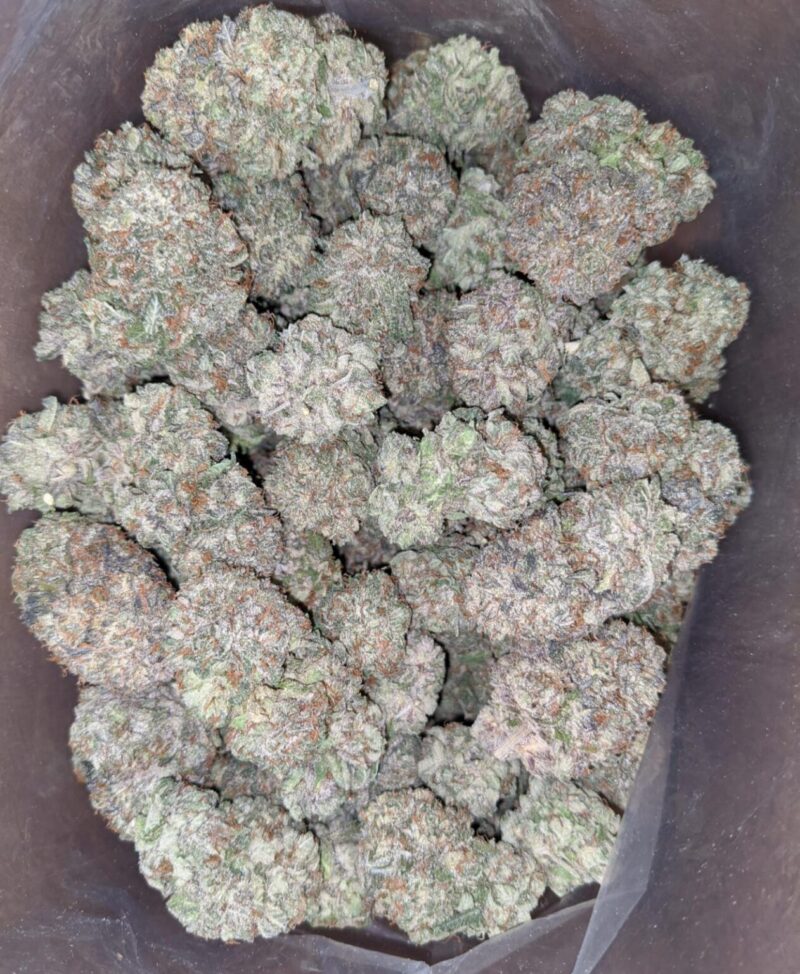 Purple Kush Cannabis- Purple kush weed- Buy Purple Kush online